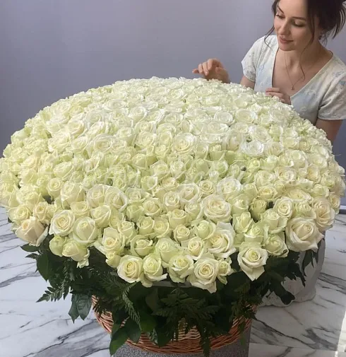 Букет 301 белая роза в корзине — Повод Найдется
