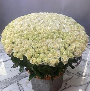 Букет 301 белая роза в корзине