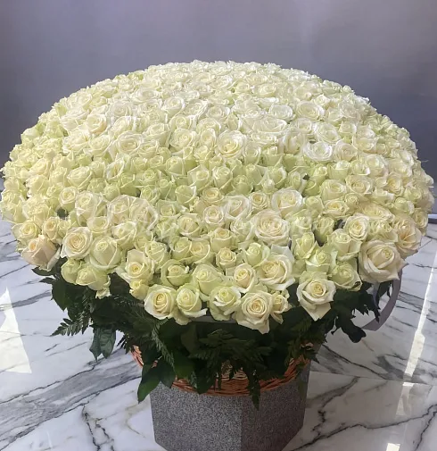 Букет 301 белая роза в корзине — Повод Найдется