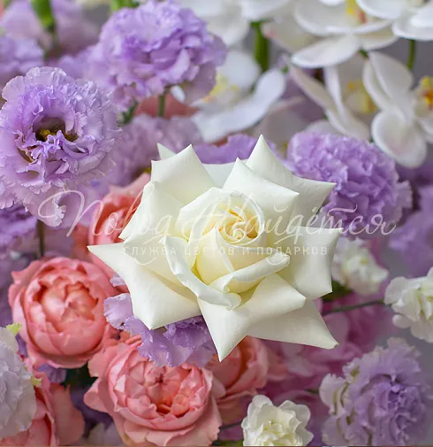 Корзина Тайна млечного пути — Повод Найдется