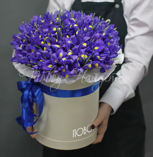 Корзина Ирма — Повод Найдется