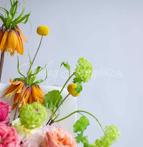 Букет Всплеск эмоций — Повод Найдется