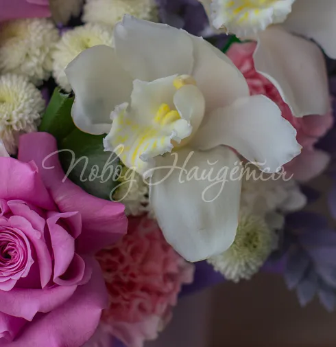 Корзина Багратиони — Повод Найдется