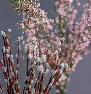 ПАСХА Пасхальный сет № 6