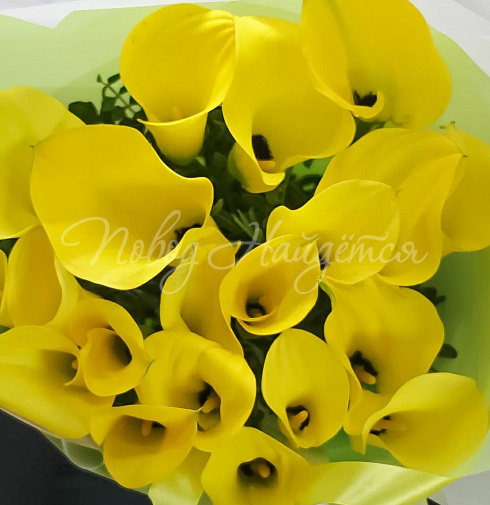 Букет Ассоль — Повод Найдется