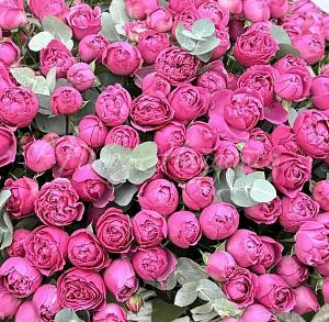 Корзина Белладжио