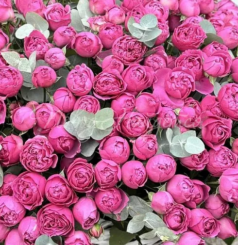 Корзина Белладжио — Повод Найдется