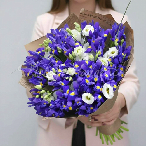 ИРИСЫ Букет Капризная