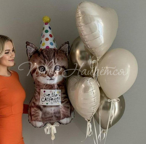 Шары Облако шаров" Котик Мур"