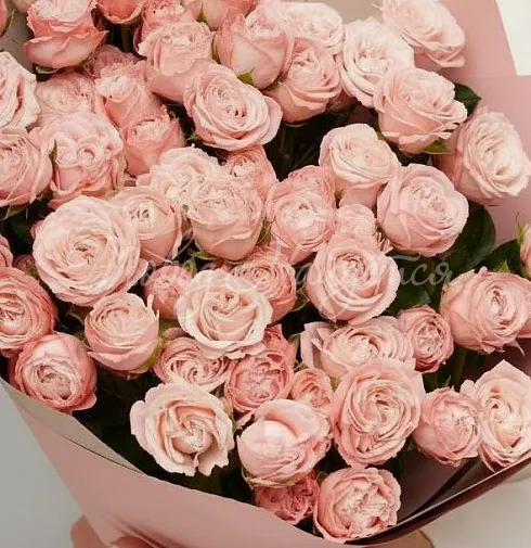 Букет Амалия — Повод Найдется