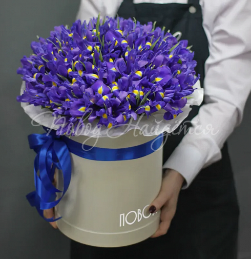 Корзина Ирма — Повод Найдется