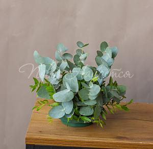 Цветочная композиция Композиция №86