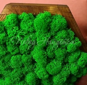 Зеленое Картина из стабилизированных цветов