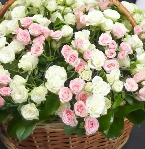 Букет Баронесса — Повод Найдется