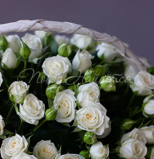 Корзина Бенефис — Повод Найдется