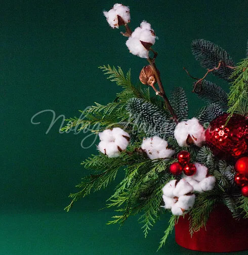 Рождественский миг