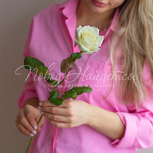 Белая роза 50 см