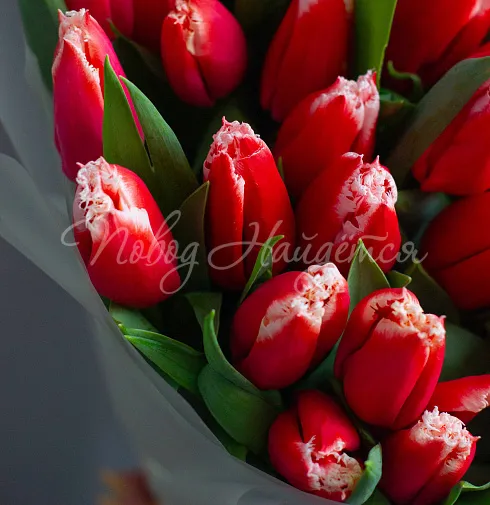 Букет Яркий вечер — Повод Найдется