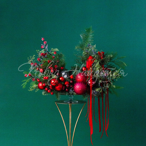 Тайна хвойного леса