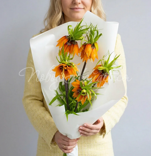 Букет Лилу — Повод Найдется