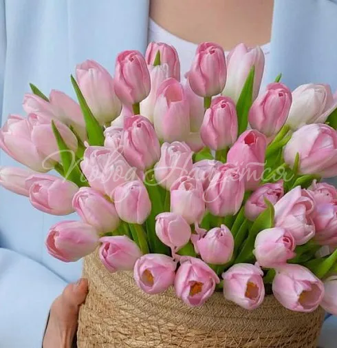 Букет Ратичелла — Повод Найдется