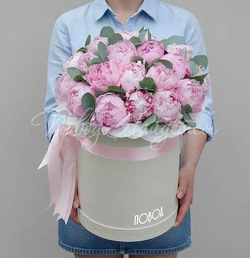 Букет 25 пионов в коробке — Повод Найдется