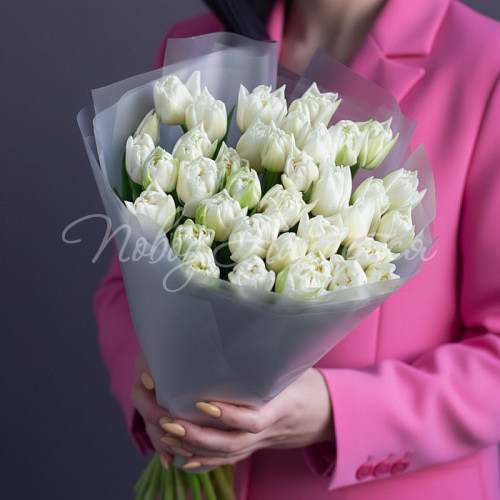 Моно Тюльпаны Нежный вечер