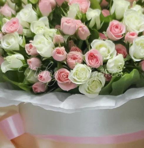 Корзина Кудряшка Сью — Повод Найдется