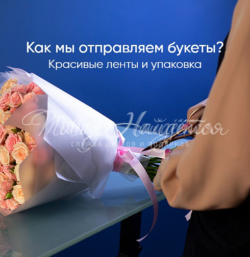Сафари