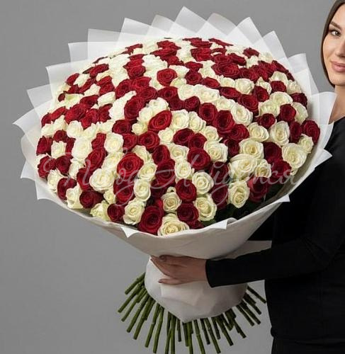 201 роза Букет Покорить