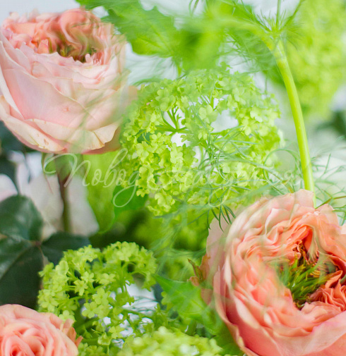 Букет В центре внимания — Повод Найдется