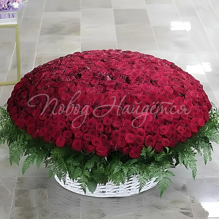 1001 роза