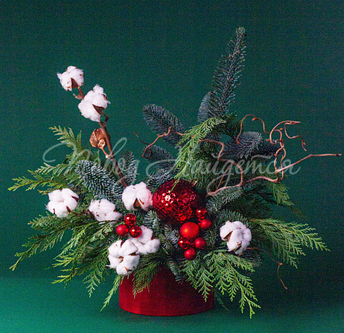 Рождественский миг