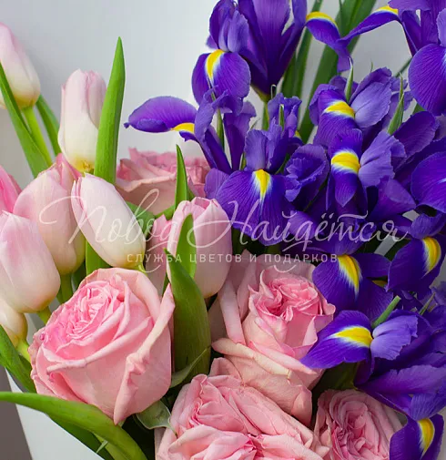 Букет Феличита — Повод Найдется