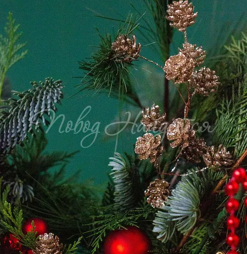 Дух Рождества