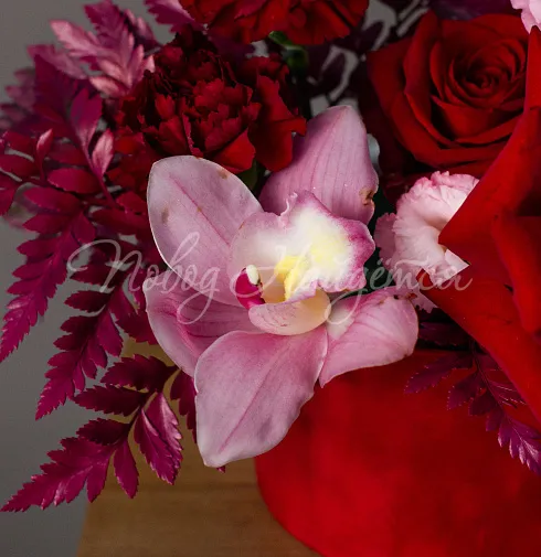 Корпоративный 057