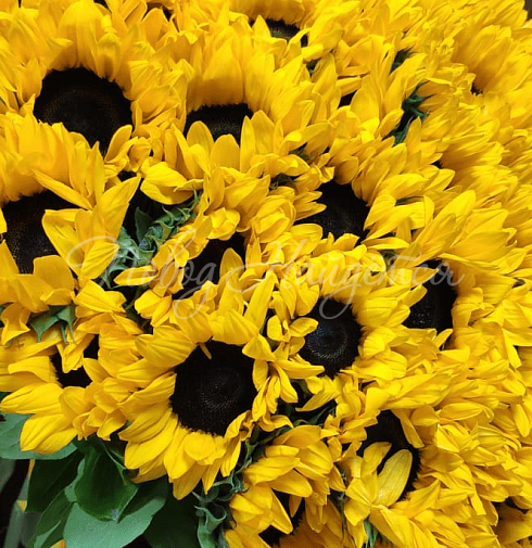 Букет Солнечные объятия — Повод Найдется