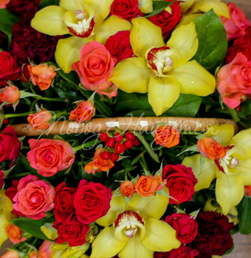 Корзина Милое создание — Повод Найдется