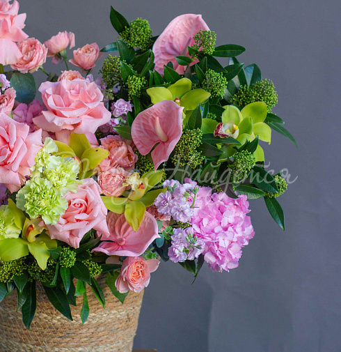 Корзина Житель твоих снов — Повод Найдется