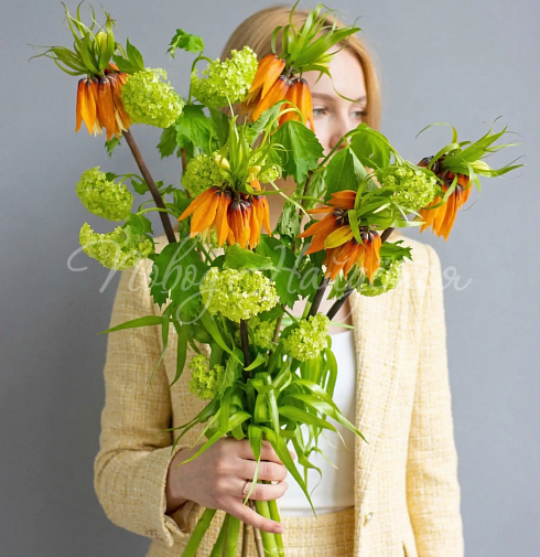 Букет Выстрел Эндорфинов — Повод Найдется