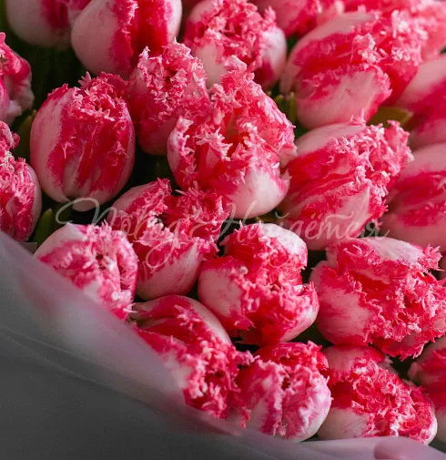 Букет Ты-моя нежность — Повод Найдется