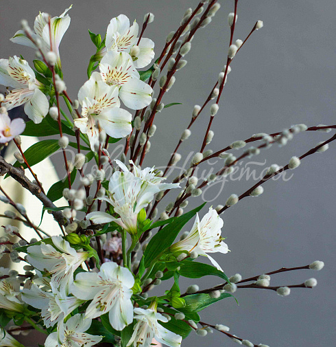 Воздух апреля