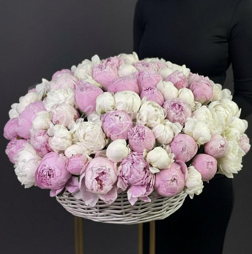 ПИОНЫ Букет Отрываюсь от Земли