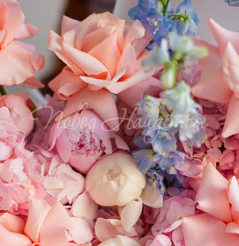 Букет Арктическая свежесть — Повод Найдется