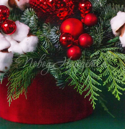 Рождественский миг