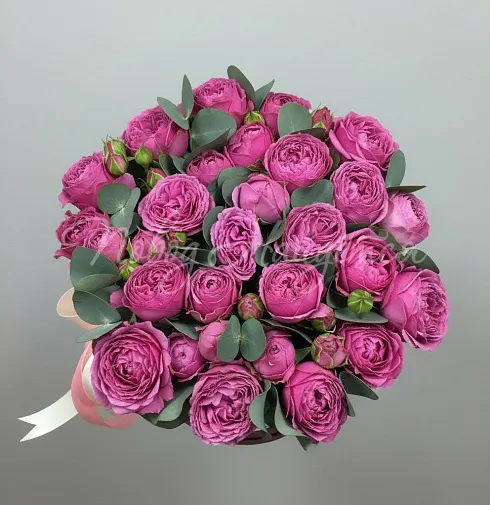 Корзина Бомбастик — Повод Найдется