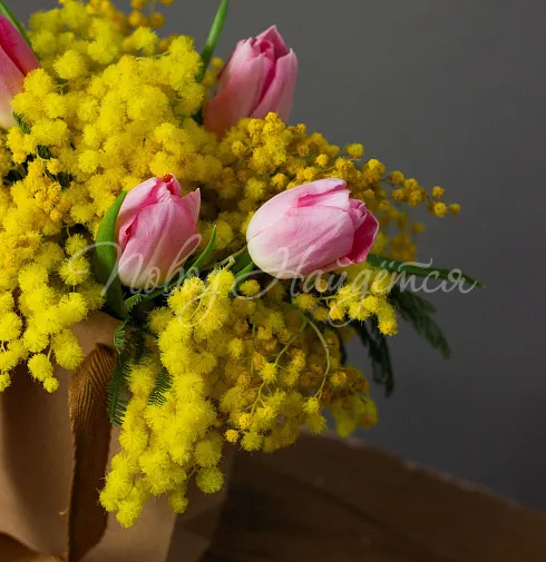 Корпоративный 059