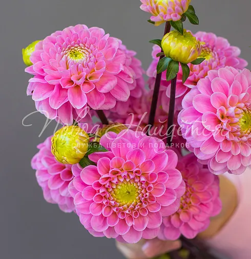 Букет Букет невесты №540 — Повод Найдется