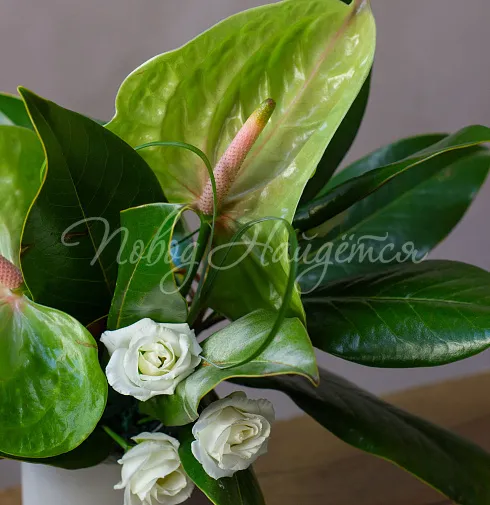 Цветочная композиция Композиция №117 — Повод Найдется