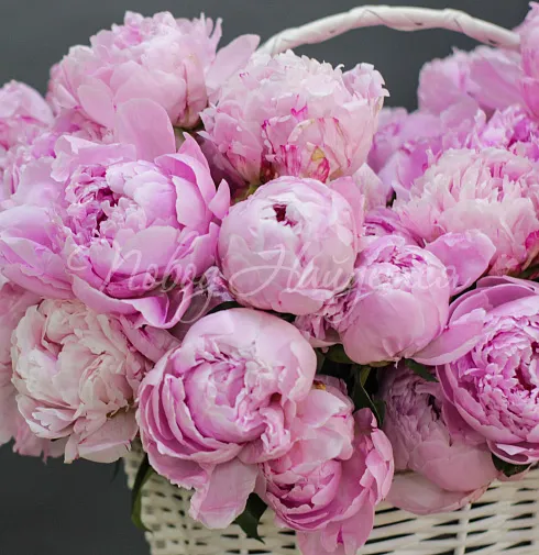 Букет Великолепие Италии — Повод Найдется